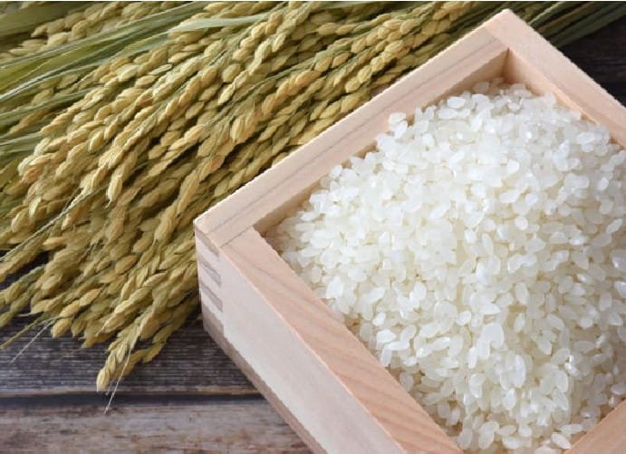 石川県産 自然栽培米