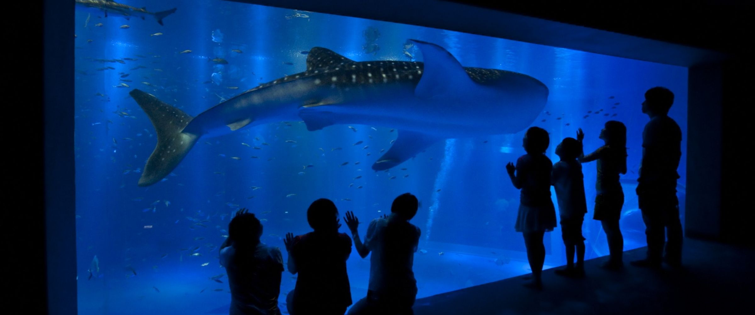 能登島水族館